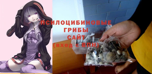 марки nbome Вяземский