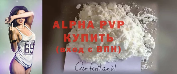 марки nbome Вяземский