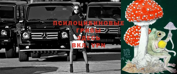 соль ск Вязники