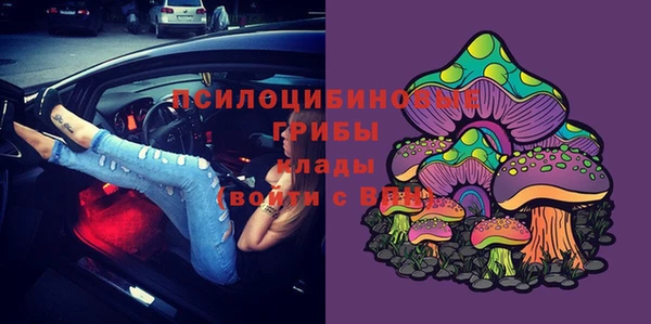 соль ск Вязники