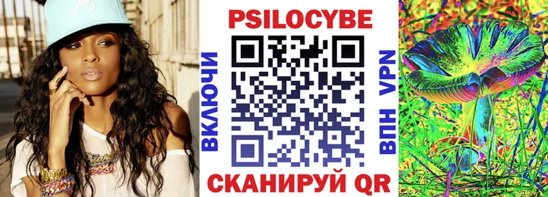 Купить закладки  Велиж  Псилоцибиновые грибы Psilocybe 